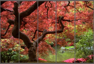 Фотодрук на фасадах